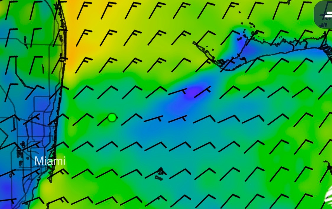 Gulf Stream Crossings 